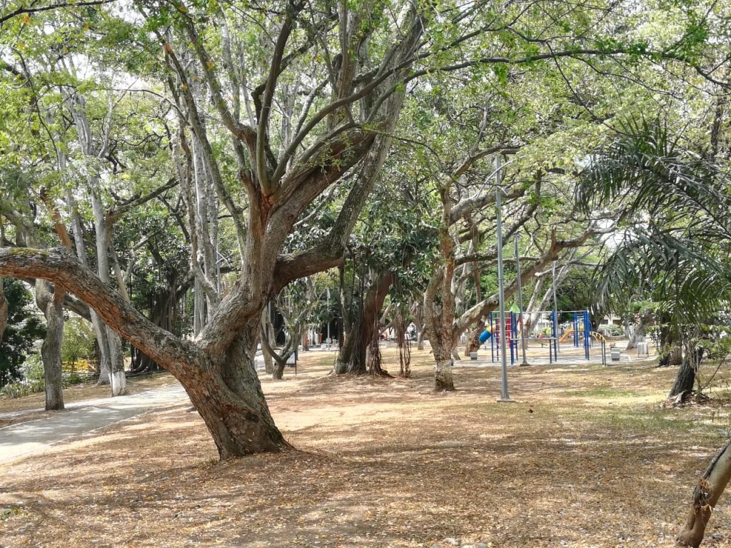 Parques en Buga